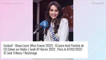 Diane Leyre (Miss France 2022) séparée d'un acteur de Profilage ? Sa réponse franche à Thomas Goldberg (EXCLU)