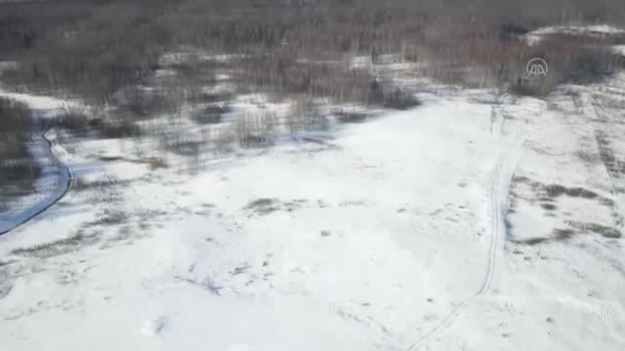 Belarus ve Rusya'nın "Müttefik Kararlılığı-2022" ortak askeri tatbikatı devam ediyor