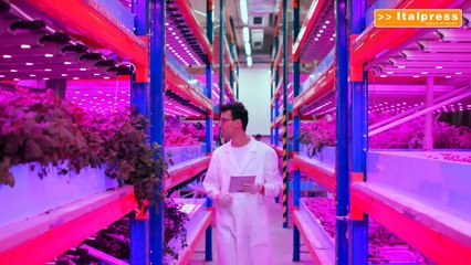 Confagricoltura, entro 15/10 candidature Premio Innovazione