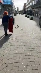 Ms Griffiths and Mr Pedlow rescuing Wayne the pigeon on Palmerston Road