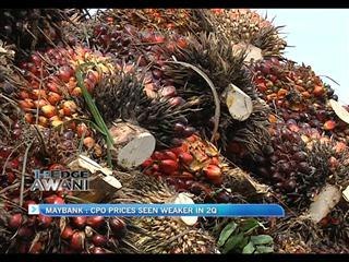 Maybank : CPO prices seen weaker in 2Q