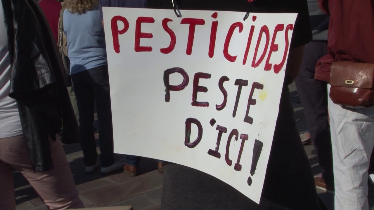 2017 Micro-trottoir sur l'interdiction du glyphosate * Trigone Production