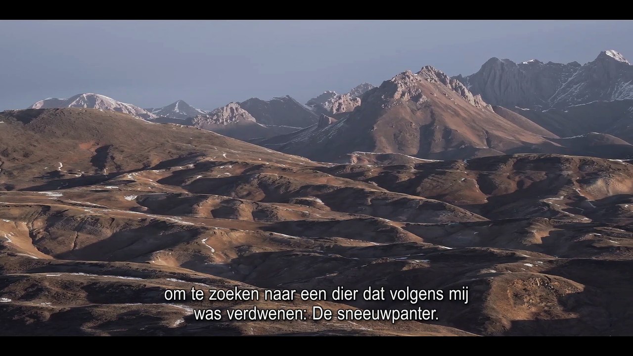 The Velvet Queen Film