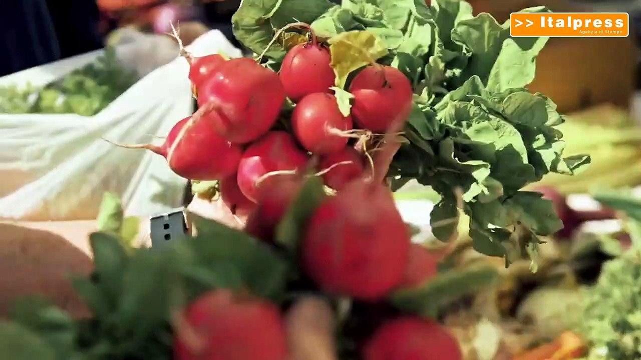 Torna il Piantastorie, il podcast di Bayer per uno stile di vita sano