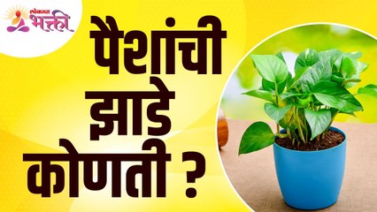पैशांची झाडे नक्की कोणती आहेत? What are the money trees? Lokmat Bhakti