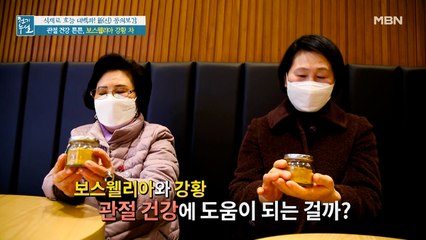 [실험] [보스웰리아 강황 차]가 관절 건강에 미치는 영향은?
