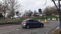 Tree down in Northfleet due to Storm Eunice