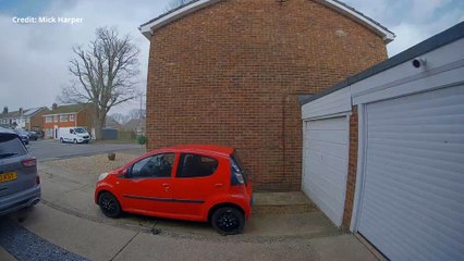Tree knocked down in Whitstable as Storm Eunice rages on