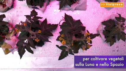 Da Enea tecnologie per la vita nello spazio