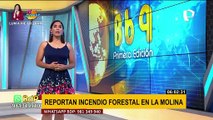 La Molina: Reportan incendio forestal en cerro lleno de vegetación