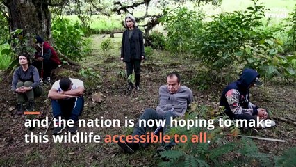 Birdhearing: The Colombian wildlife tour for the visually impaired