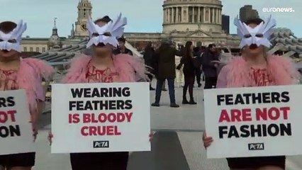 PETA protesta contra penas na moda na London Fashion Week 🕊️