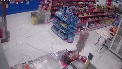 Markete giren tilki kameraya yansıdı