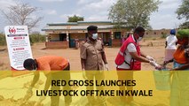 Red Cross launches livestock offtake in Kwale