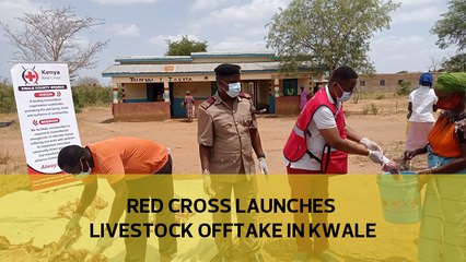 Red Cross launches livestock offtake in Kwale