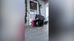 Grandma Opens Front Door To Discover Baby Grandchild | Happily TV