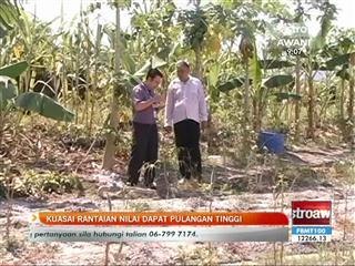 Petani disaran kuasai rantaian pasaran