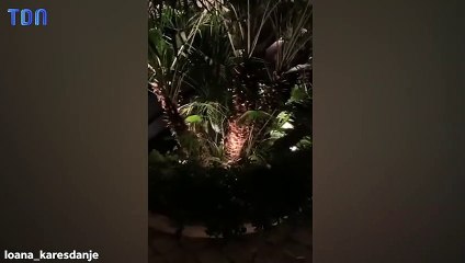 "Je me mets à 4 pattes" : Complètement ivre, Loana oublie qu'elle est en plein direct