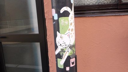 Gotokuji Temple In Tokyo Filled With Thousands Of Lucky Cats | Happily TV