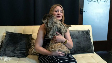 Sloth Helps Man With Surprise Proposal | Happily TV