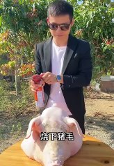 Thưởng thức món ăn công thức nấu với hương vị cuộc sống