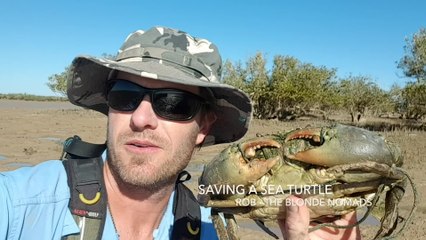 Turtle Stranded In Mud Rescued By Kind Traveler | Happily TV