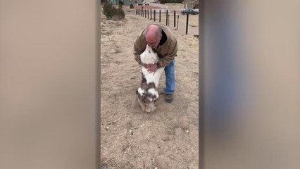 Deaf And Blind Dog Instantly Recognizes Returning Grandpa | Happily TV