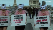 A poil pour les plumes : manifestation contre l'utilisation vestimentaire des plumes d'oiseaux
