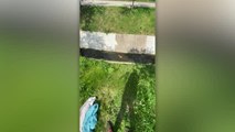 Woman Rescues Fawn Trapped In Drain Culvert | Happily TV
