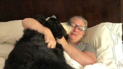 Family Recreate Mom's Puppy Surprise With 130 Pound Grown Up Dog | Happily TV