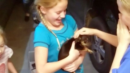 Scavenger Hunt Leads Kids To Surprise Puppy | Happily TV