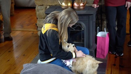 Woman Surprised With Puppy And Names It After Late Husband | Happily TV