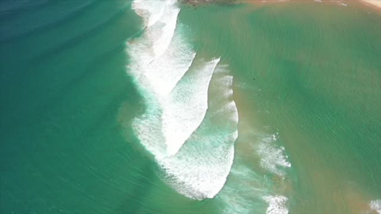 Hippo Surfs Waves After Beach Is Left Deserted By Lockdown | Happily TV