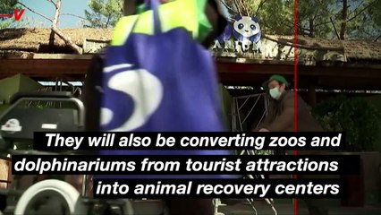 Spain Will Ban Pet Shops and Turn Zoos Into Animal Recovery Centers as Part of New Law