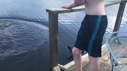 Duck Chases Kid Around Lake | Happily TV