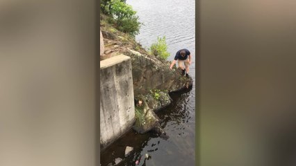 Hero Rescues Stranded Yorkshire Terrier From Drowning | Happily TV