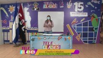 Clases de Lengua y Literatura de 2do Grado