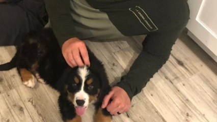 Surprise Scavenger Hunt Leads Husband To Puppy | Happily TV