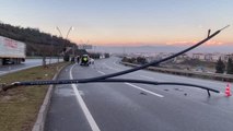 Tekeri kopan ve direğe çarpan otomobilin sürücüsü yara almadan kurtuldu