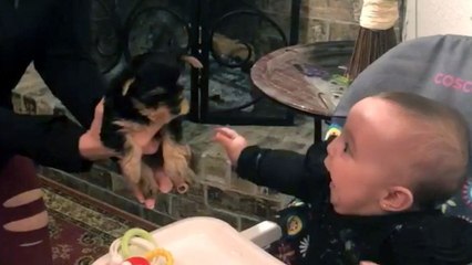 Baby And Puppy Meet For First Time | Happily TV