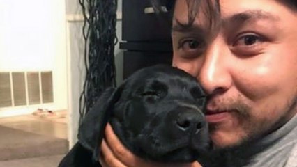 Veteran With PTSD Surprised With Service Dog | Happily TV