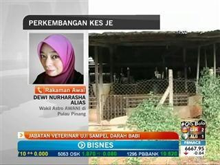Jabatan veterinar uji sampel darah babi