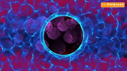 Realizzato modello di sviluppo tumorale in vitro