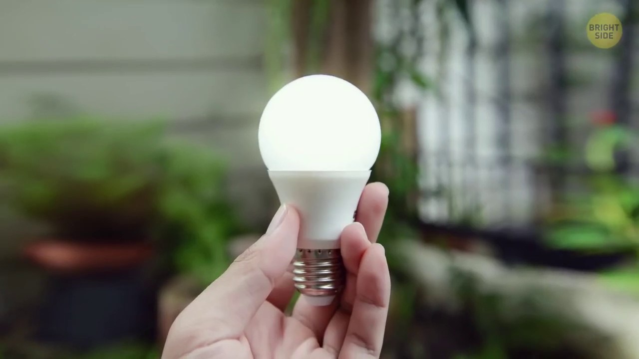 A Plane Disappeared And Landed 37 Years Later.