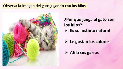 Clase de Lengua y Literatura de 8vo Grado de Secundaria a distancia en el Campo