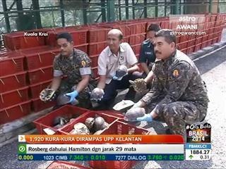 1,920 kura-kura dirampas UPP Kelantan