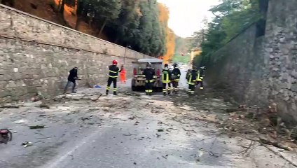 Siena, cade un albero in strada