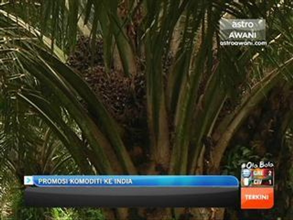 Promosi komoditi ke India