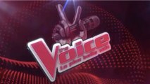 GALA VIDEO - The Voice : Vanessa Paradis, Michel Polnareff, Patrick Bruel,... : ils ont refusé d’être coach