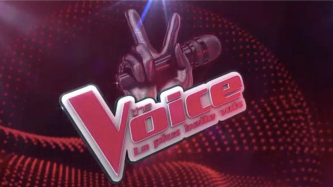 GALA VIDEO - The Voice : Vanessa Paradis, Michel Polnareff, Patrick Bruel,... : ils ont refusé d’être coach